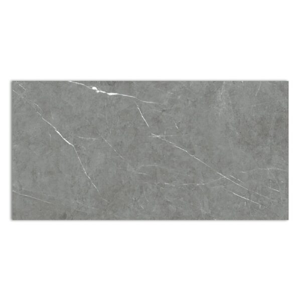 TESSINO GREY PULIDO (POLISH) RECT 60X120