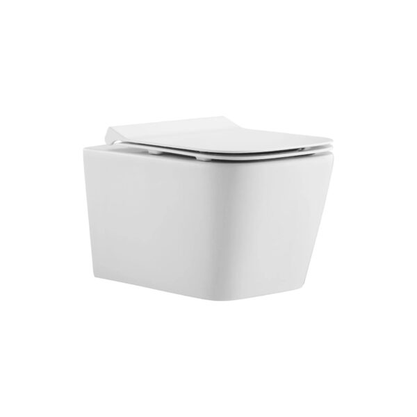 BL6084 RAMA RIMLESS COMPLETE WALL HUNG TOILET